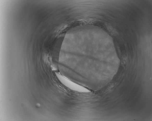 X0000080111010200612301938