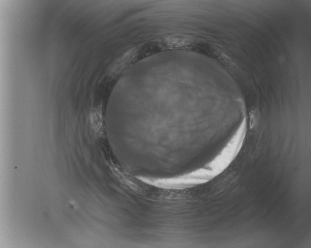 X0000080111011200612301938