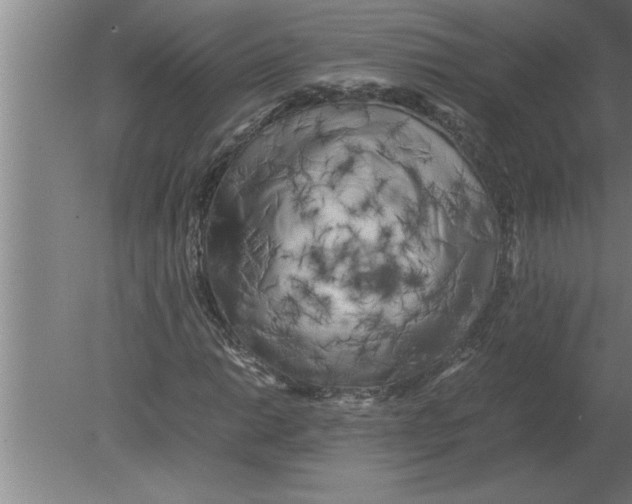 X0000080111014200612301938