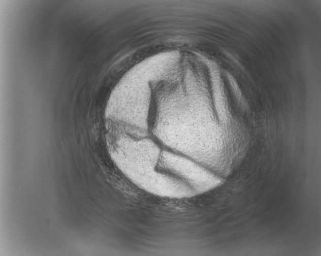 X0000080111015200612301938