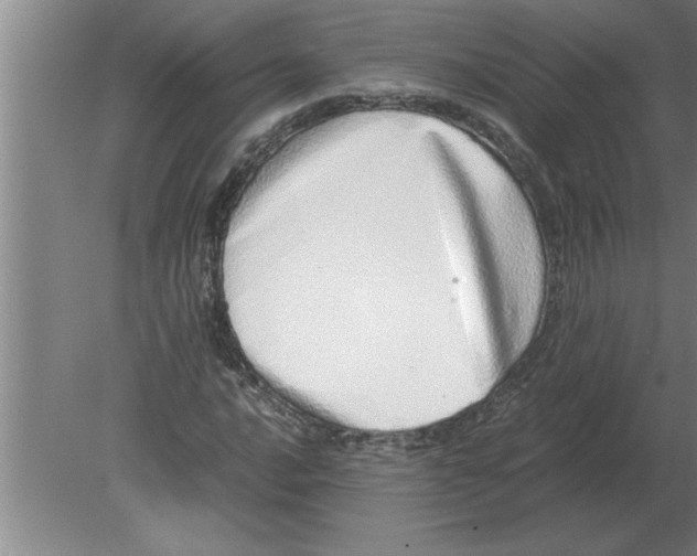 X0000080111016200612301938