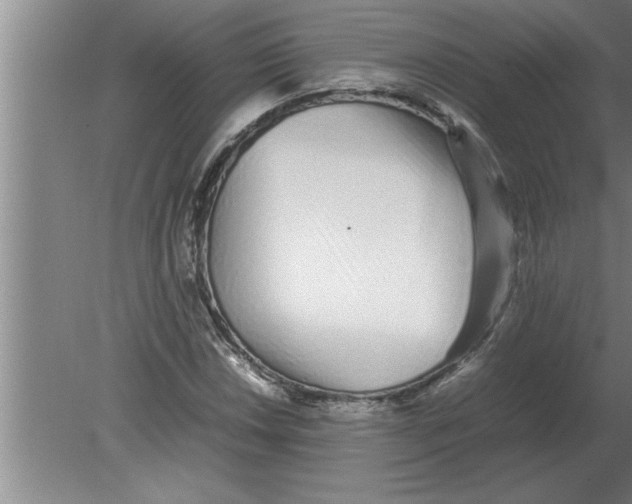 X0000080111018200612301938