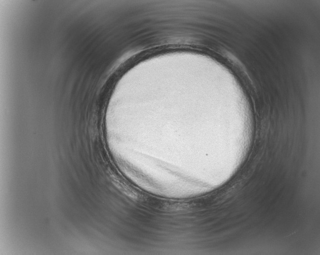 X0000080111019200612301938