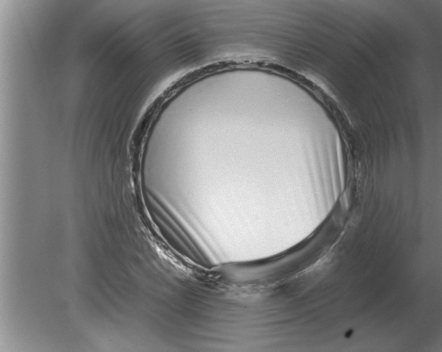 X0000080111022200612301938