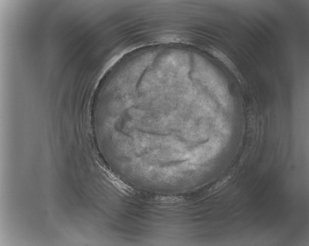 X0000080111023200612301938