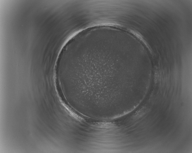 X0000080111024200612301938