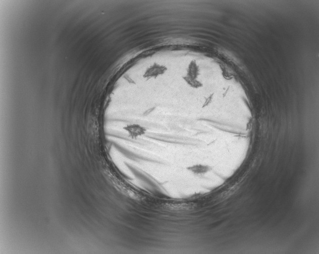 X0000080111025200612301938