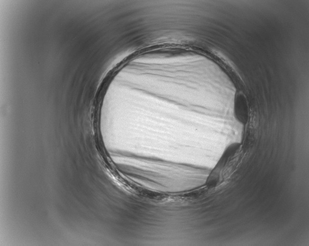 X0000080111026200612301938