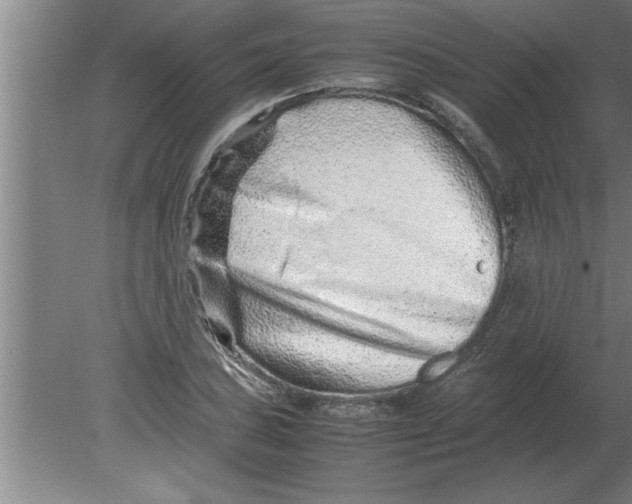 X0000080111027200612301938