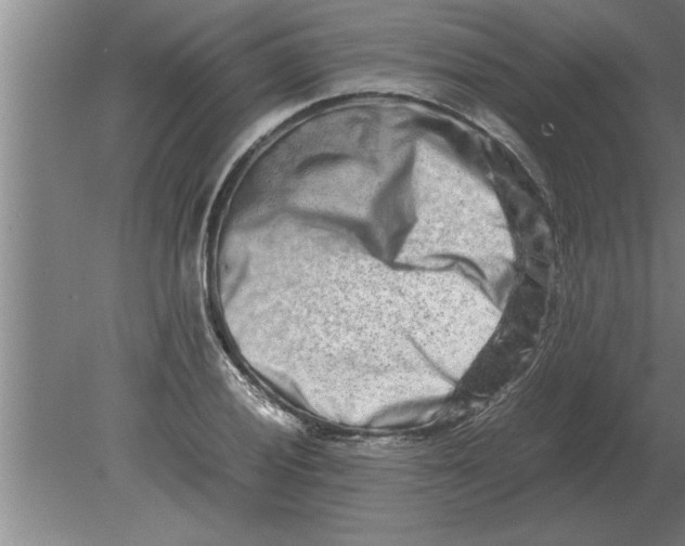 X0000080111028200612301938