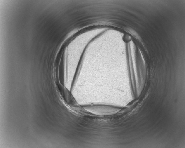 X0000080111029200612301938