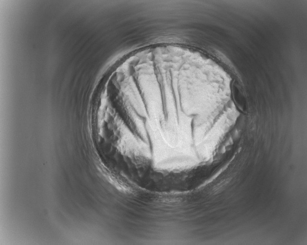 X0000080111035200612301938