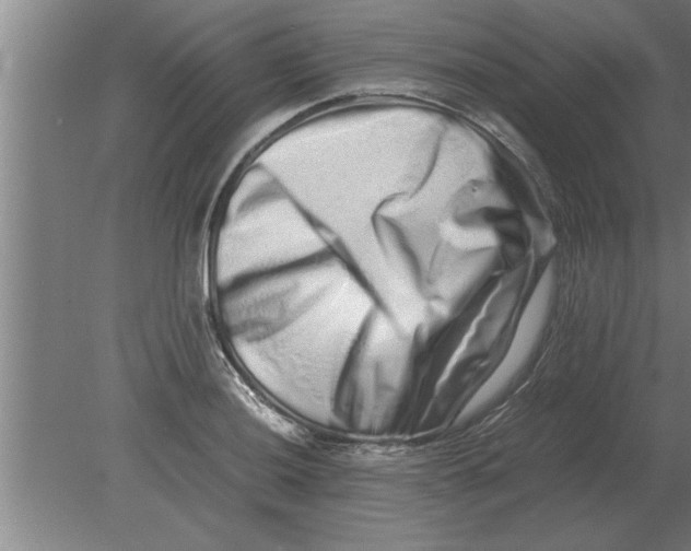 X0000080111036200612301938