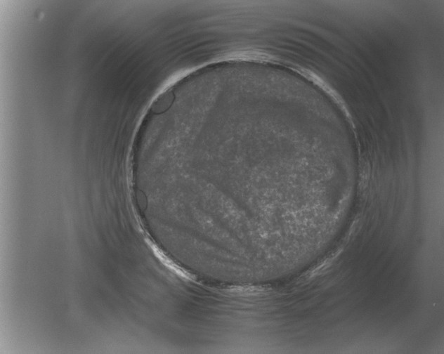 X0000080111037200612301938