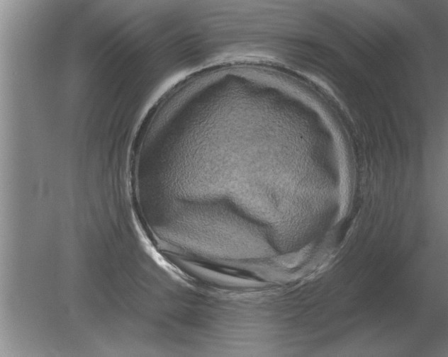 X0000080111038200612301938