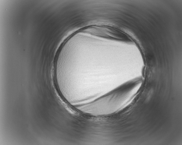 X0000080111040200612301938