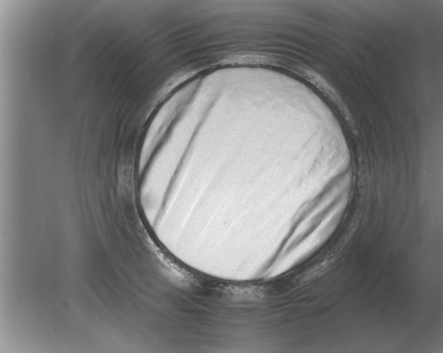 X0000080111041200612301938