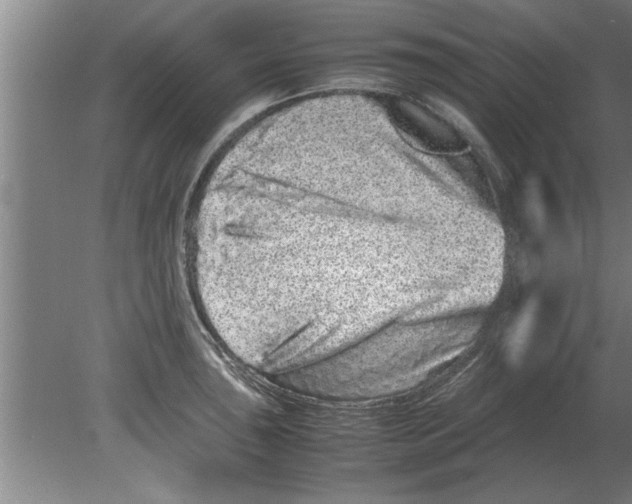 X0000080111043200612301938