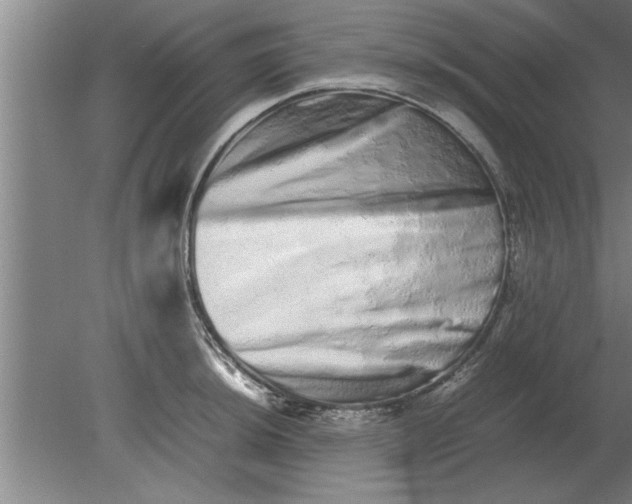 X0000080111044200612301938