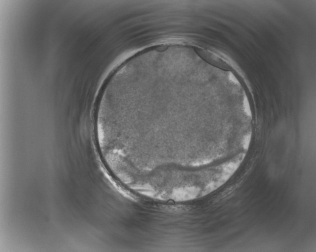 X0000080111045200612301938