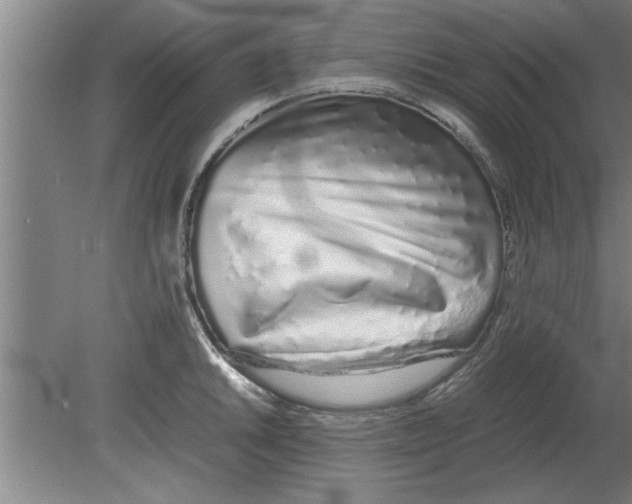 X0000080111046200612301938