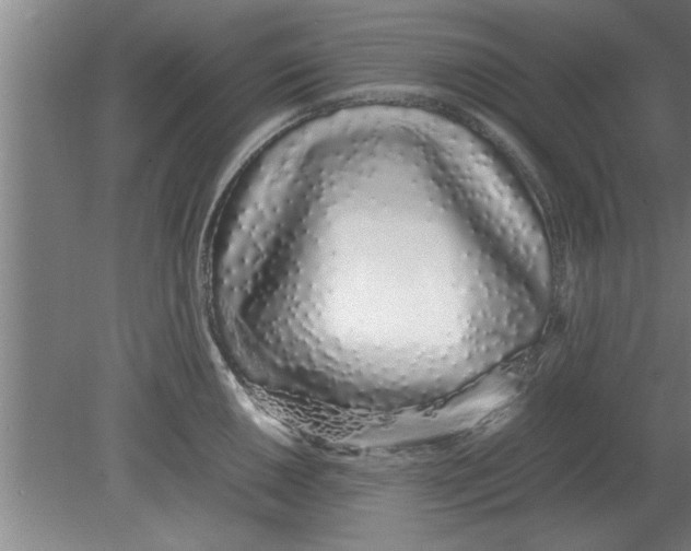 X0000080111050200612301939