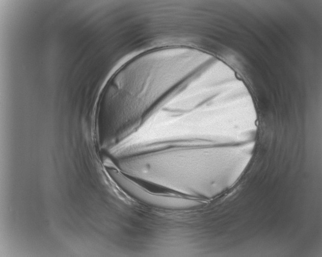 X0000080111052200612301939