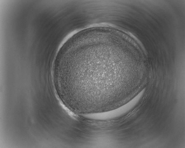 X0000080111054200612301939