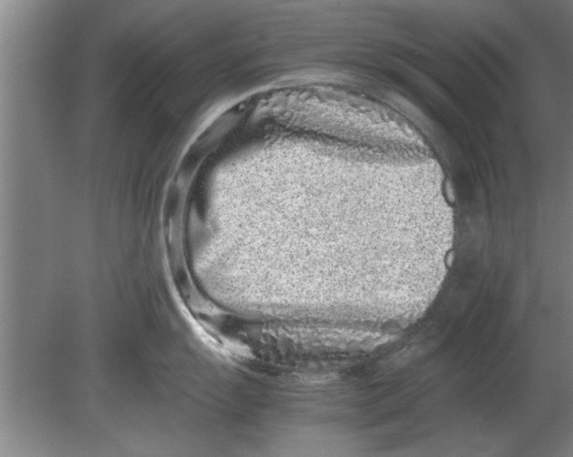 X0000080111055200612301939