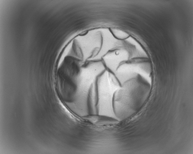 X0000080111056200612301939