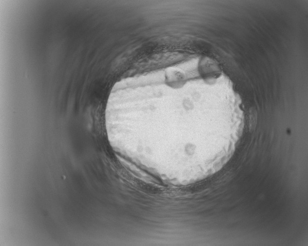 X0000080111059200612301938