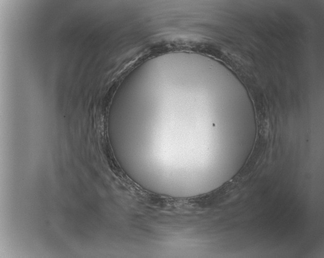 X0000080111061200612301938