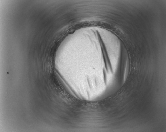 X0000080111062200612301938