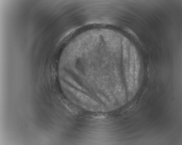 X0000080111064200612301938