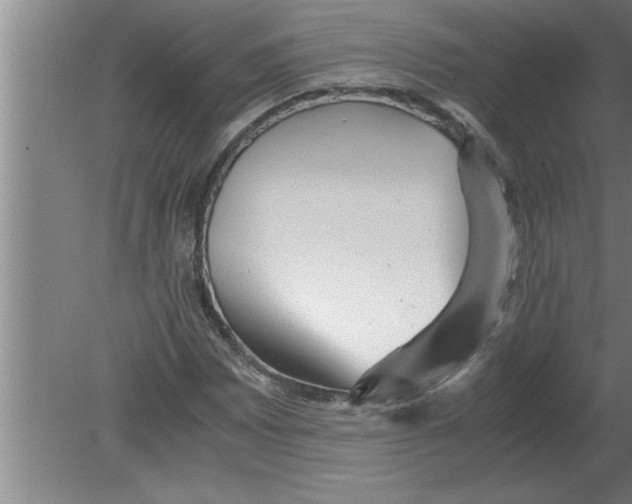 X0000080111065200612301938