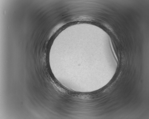 X0000080111066200612301938