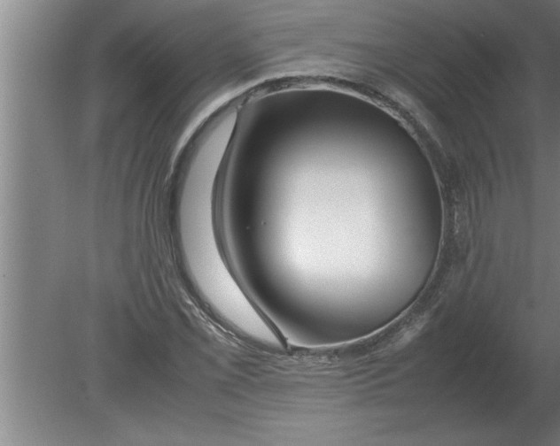 X0000080111069200612301938