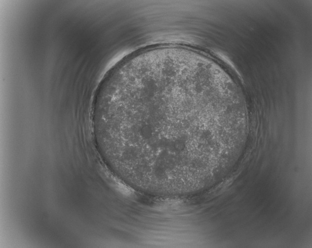 X0000080111071200612301938