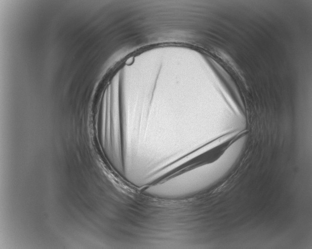 X0000080111072200612301938