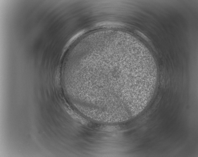 X0000080111074200612301938