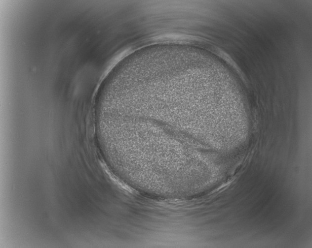 X0000080111075200612301938