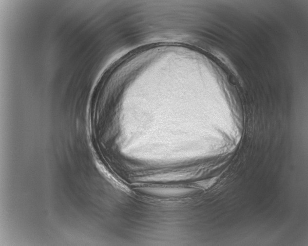 X0000080111080200612301937