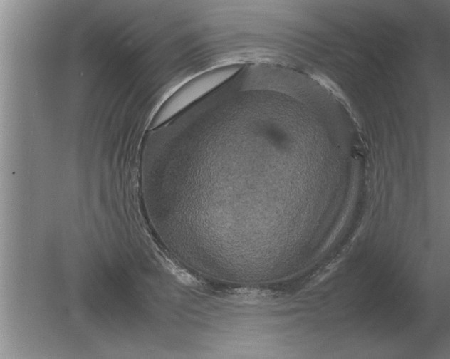 X0000080111081200612301937