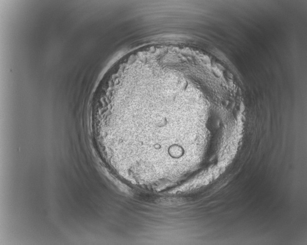 X0000080111083200612301937