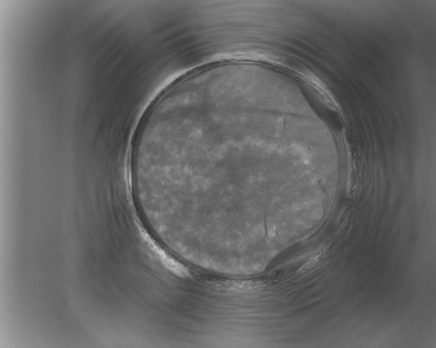 X0000080111084200612301937