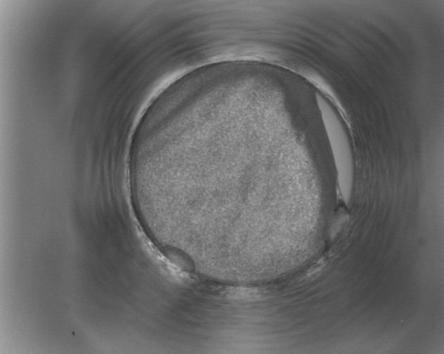 X0000080111088200612301937