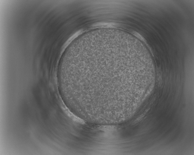 X0000080111090200612301937