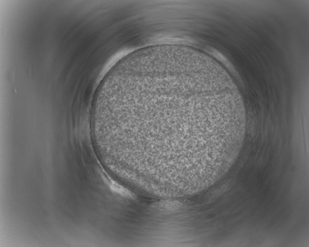 X0000080111094200612301937