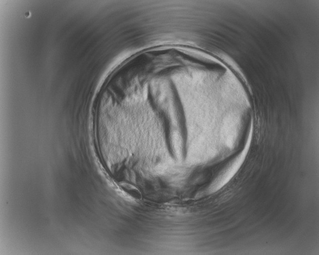 X0000080111096200612301937