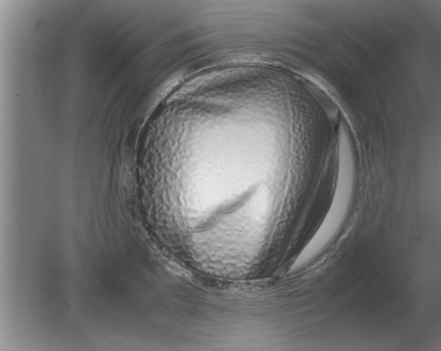 X0000080111097200612301937